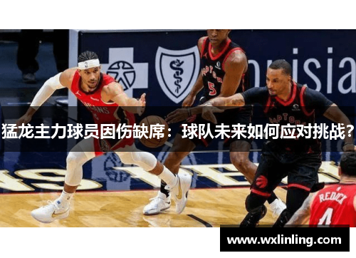 猛龙主力球员因伤缺席：球队未来如何应对挑战？
