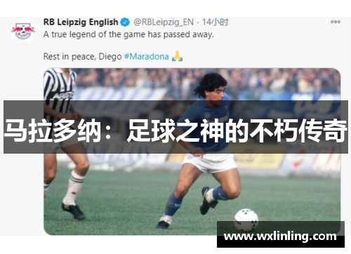 马拉多纳：足球之神的不朽传奇